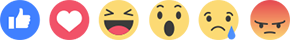 facebook icon
